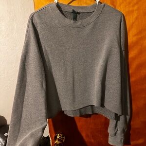 wild fable Gray Cropped Crewneck Sweatshirt